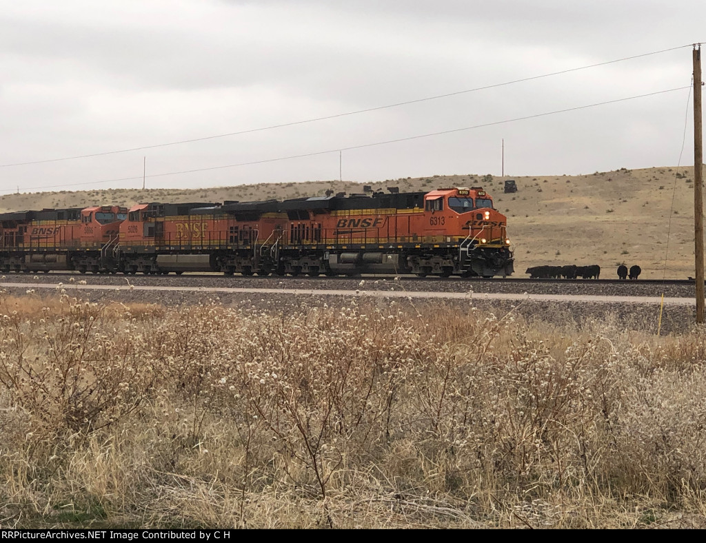 BNSF 6313/5026/5866